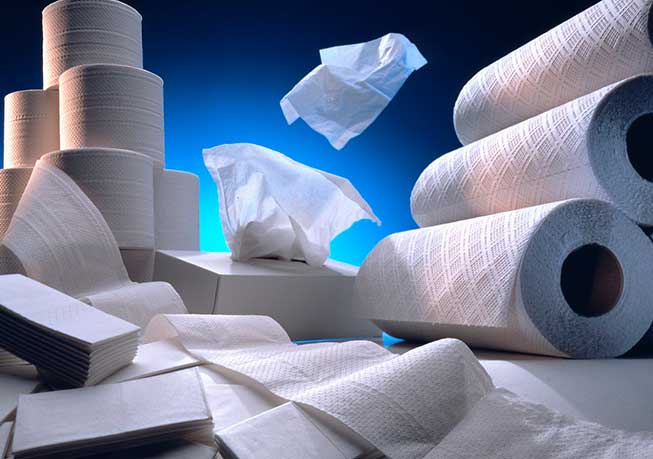 Tissue and Hygiene Paper, Paper Industry
